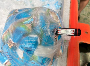 การตรวจติดตามผลการดำเนินงานโครงการอาหารเสริม (นม) โรงเรียน ... พารามิเตอร์รูปภาพ 3